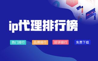 南京熊貓代理APP 高效便捷的代理代辦服務平臺